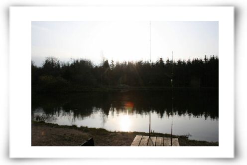 IMG_1595.JPG