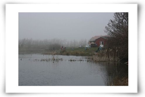 IMG_1174.JPG